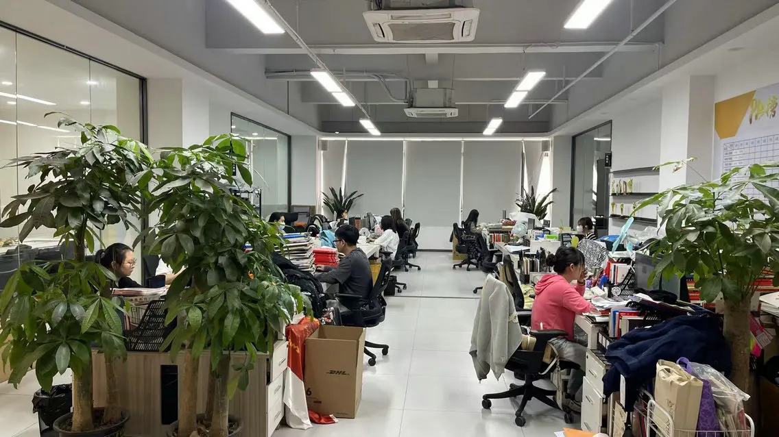 Dongguan City Topshow Garment Co., Ltd. Women's Dresses