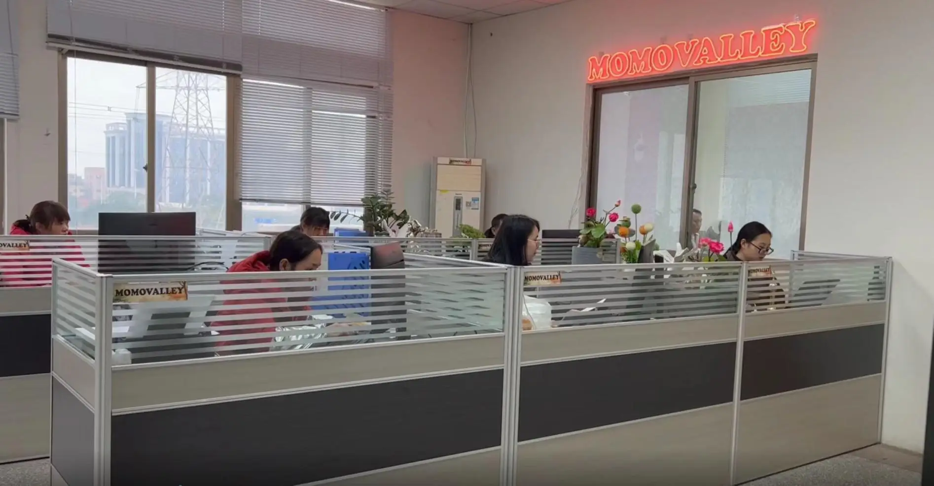 Zhongshan Momovalley Illumination Co., Ltd. Motif Lighting