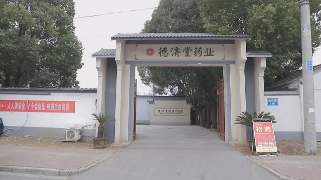 Anhui Province Dejitang Pharmaceutical Co., Ltd. Pain Relief Patch
