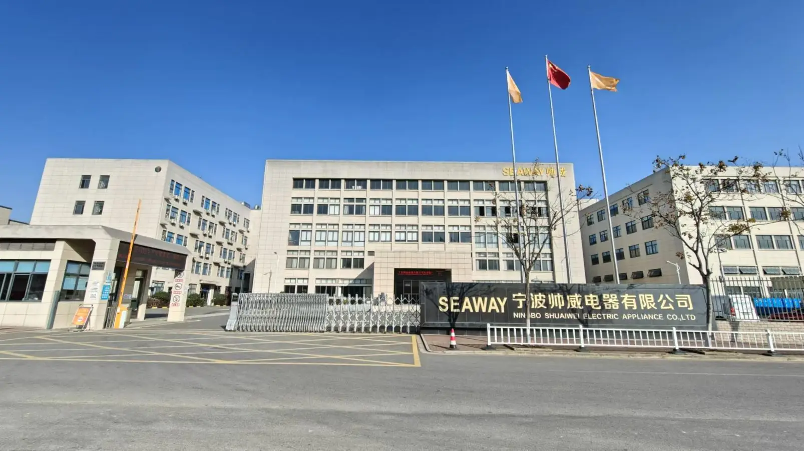 Ningbo Shuaiwei Electric Appliance Co., Ltd. Electric Iron