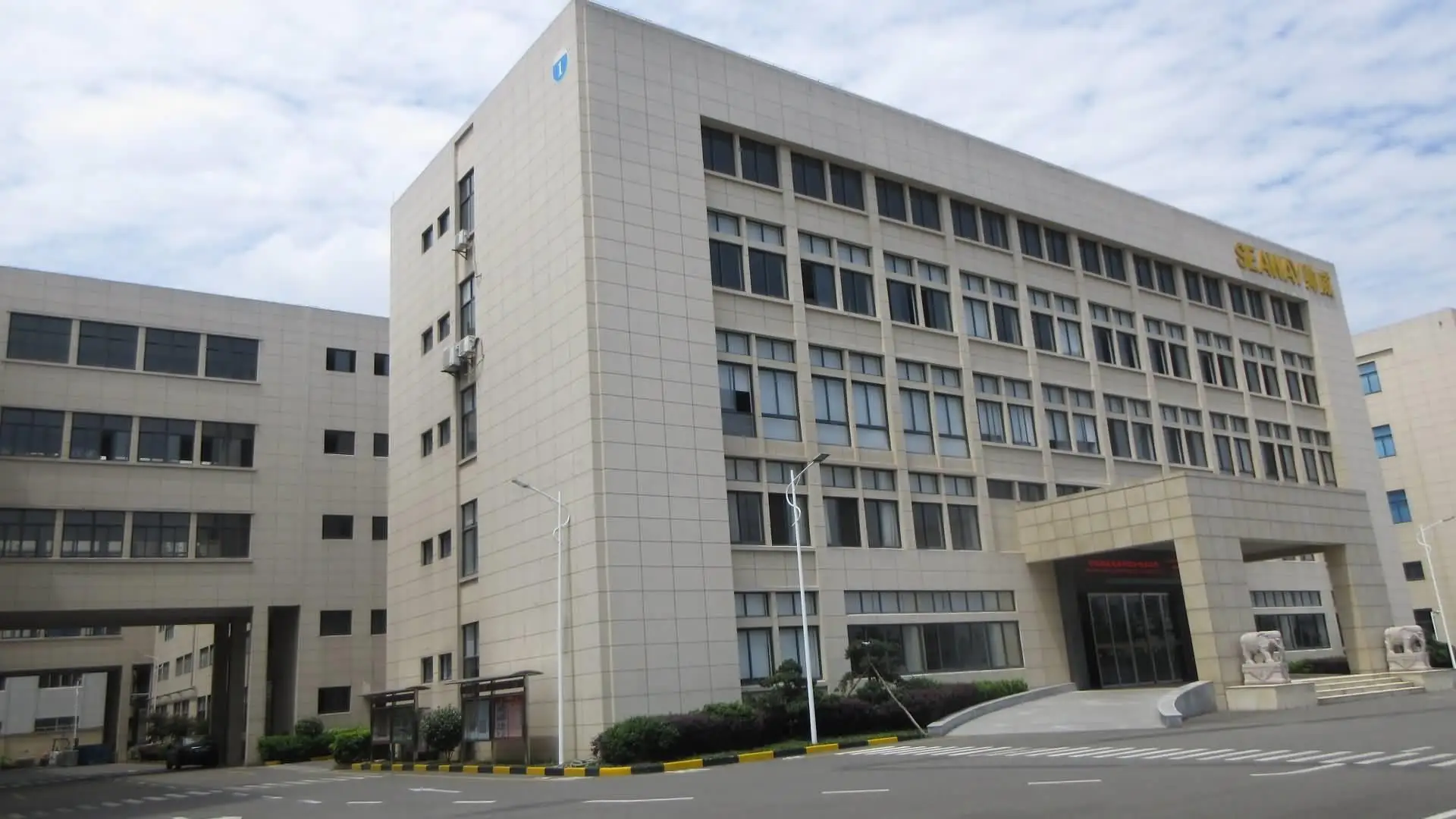 Ningbo Shuaiwei Electric Appliance Co., Ltd. Dry Iron