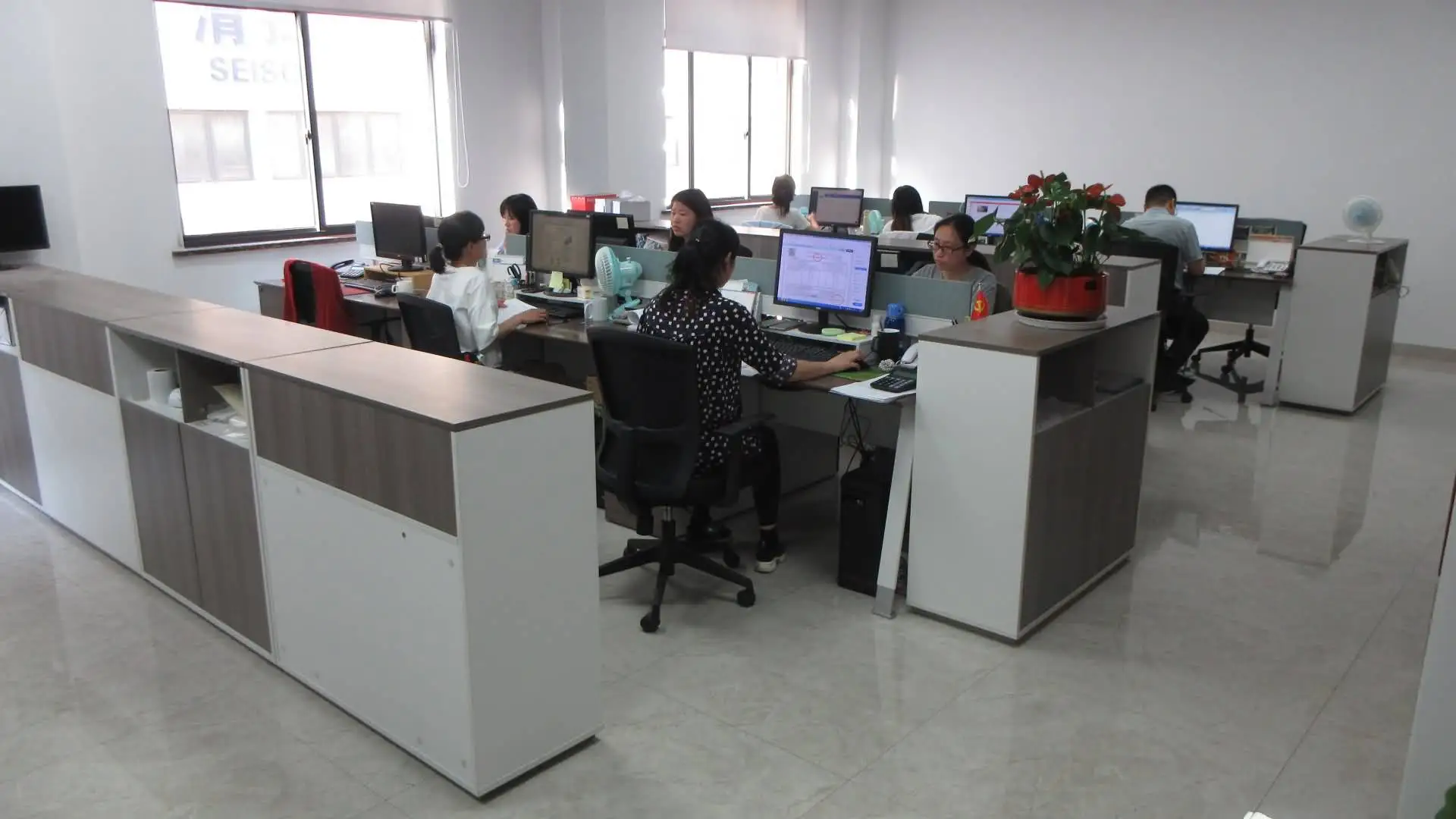 Ningbo Shuaiwei Electric Appliance Co., Ltd. Steam Iron