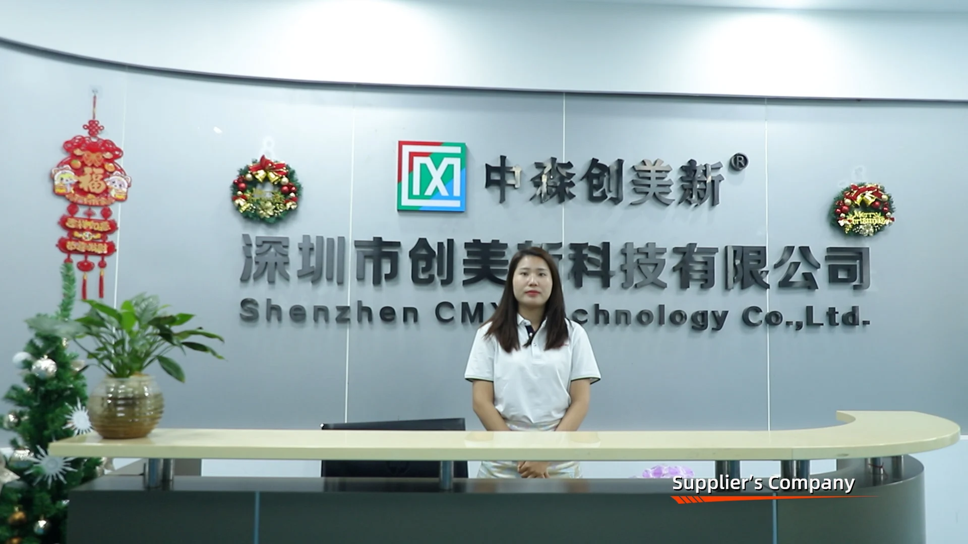 Shenzhen Cmx Technology Co., Ltd. Fixed Installation LED Screen