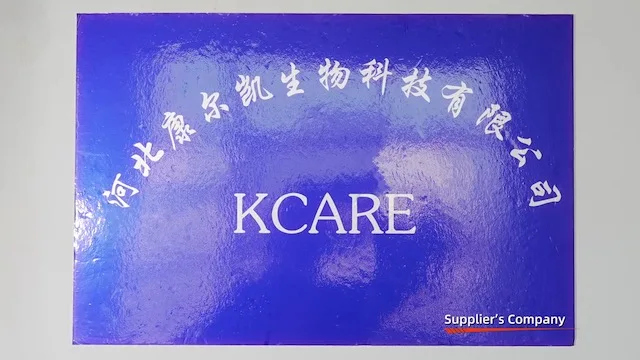 Hebei Kangcare Biotech Co., Ltd. Pain Relief Patch