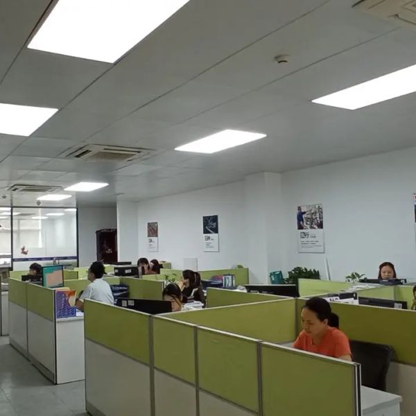 d59jr2a6fcbc739p7ejg.webp