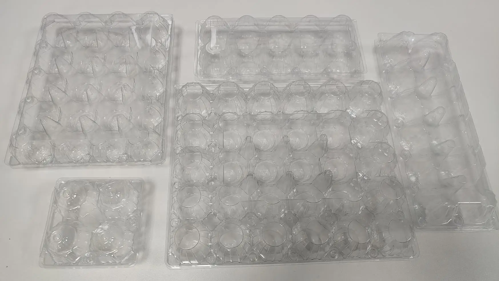 Dongguan Xingrisheng Packaging Technology Co., Ltd. Plastic Egg Trays