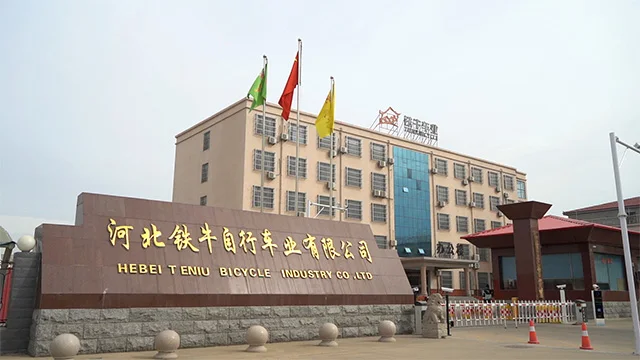 Hebei Tieniu Bicycle Industry Co., Ltd Kids Bike