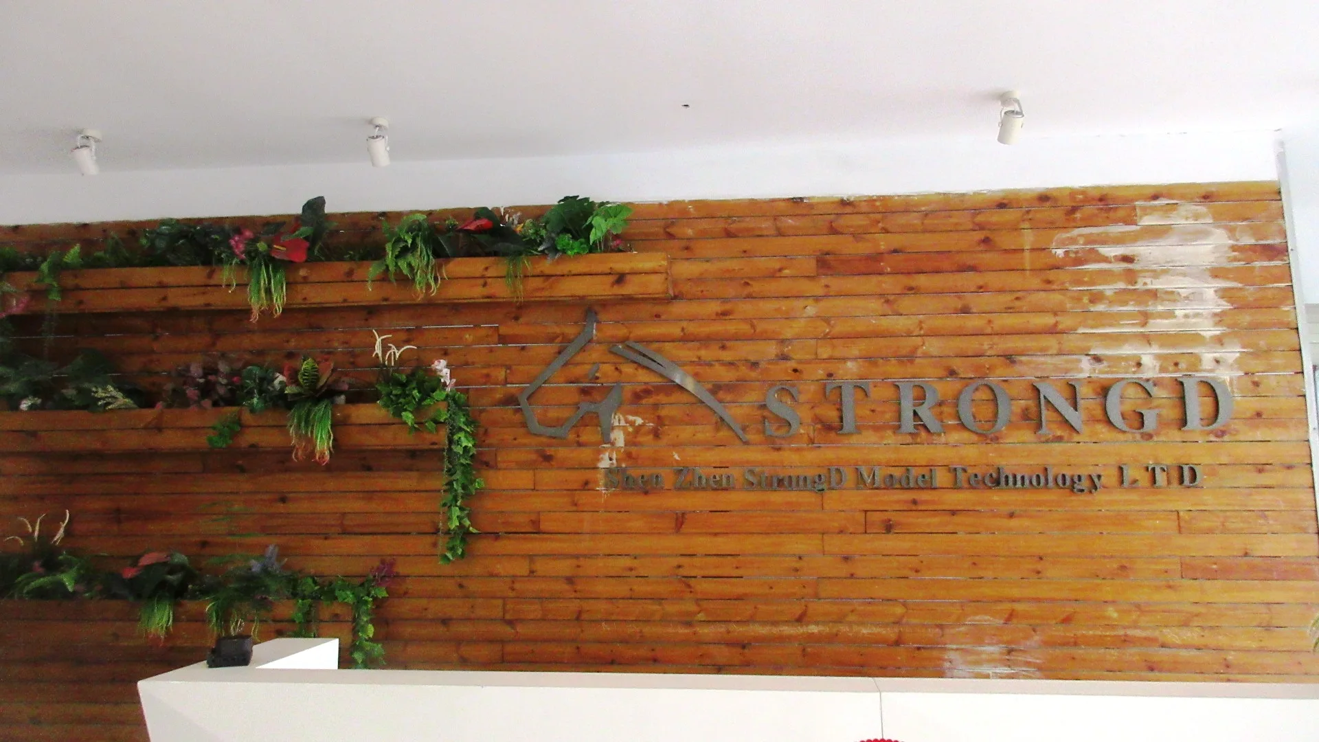 Shenzhen Strongd Model Technology Co., Ltd. Injection Molding Service
