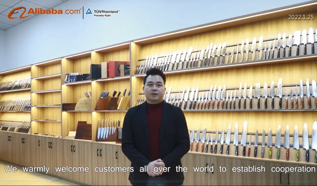Guangzhou Dtyt Industry Co., Ltd Chef Knife