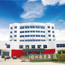 Jiande Wuxing Bicycle Co., Ltd. Electric Bicycle Accessory Throttle