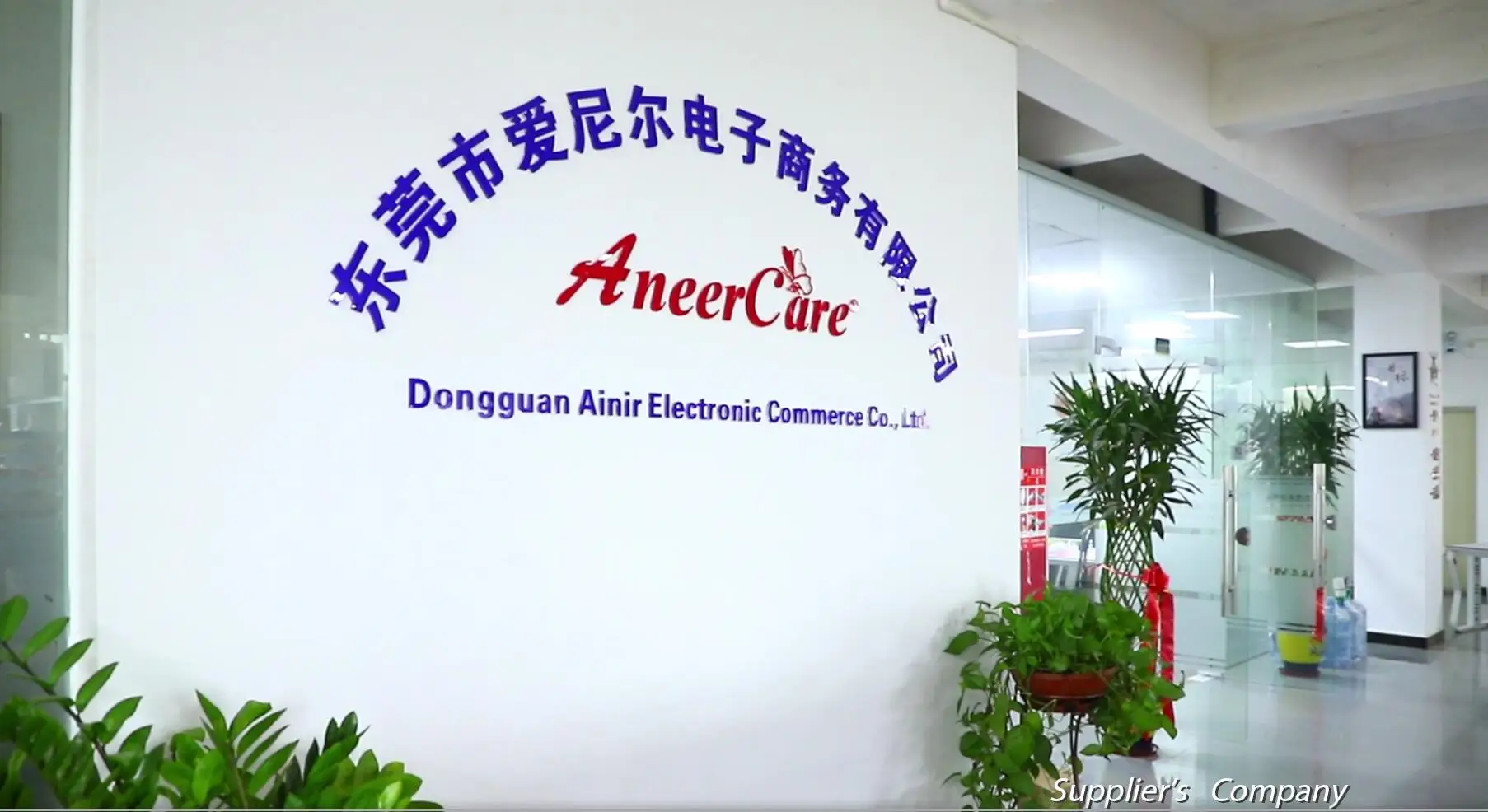 Dongguan Ainir Electronic Commerce Co., Ltd. Menstrual Cup