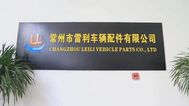 Changzhou Leili Vehicle Parts Co., Ltd. Electric Motorcycle