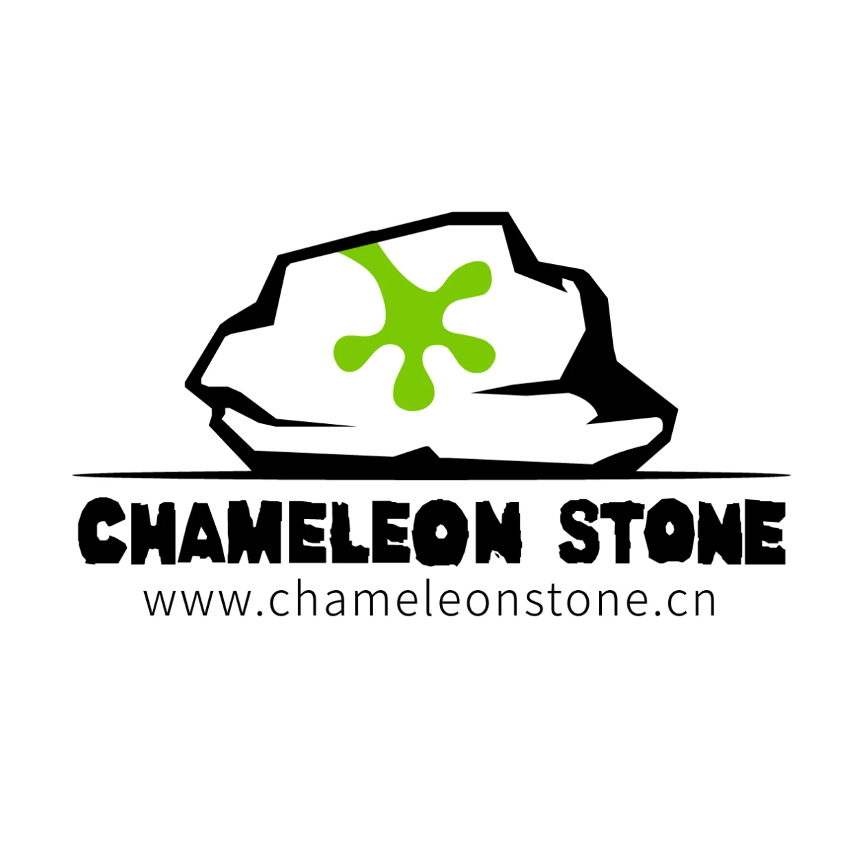 Shenzhen Chameleon Stone Industry Co., Ltd. logo