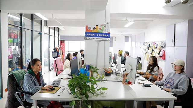 Chengdu Zhihongda Nonwoven Bag Co., Ltd. Non Woven Bag