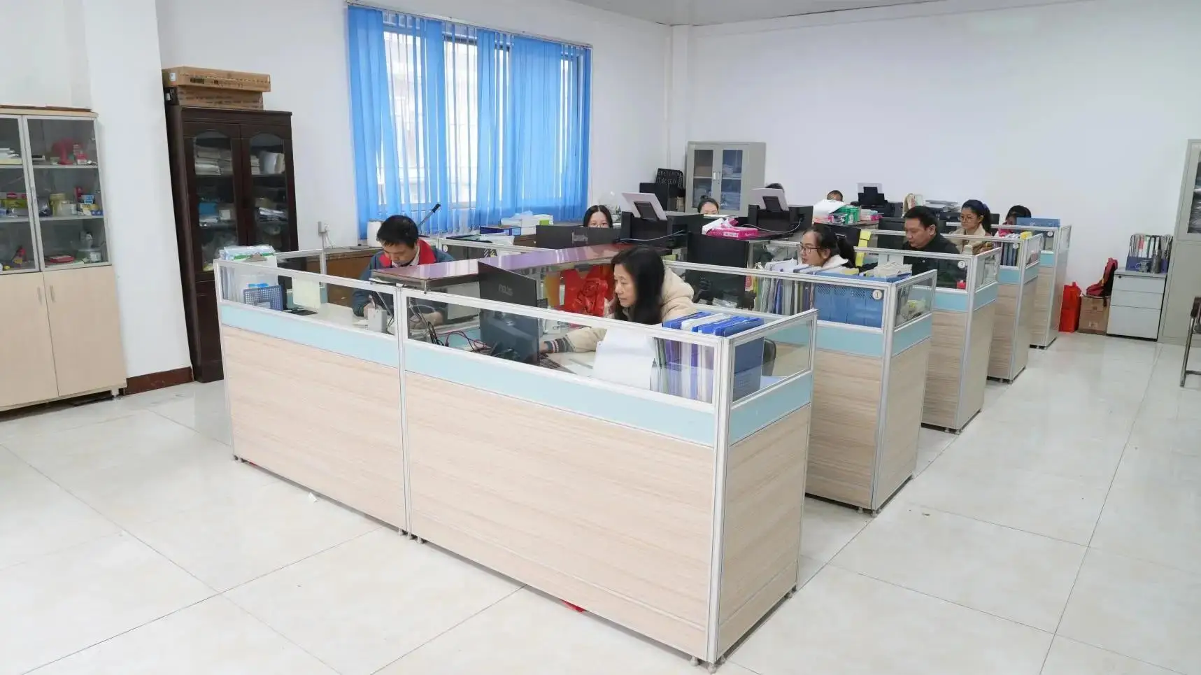 Carryon Electric Technology (guangdong) Co., Ltd. Electric Wire
