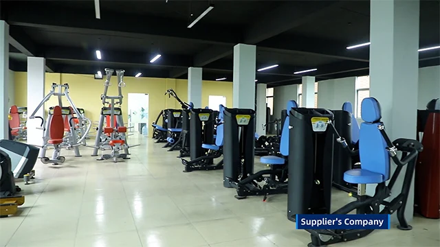 Guangzhou Aolite Fitness Equipment Co., Ltd. Strength Fitness Equipment