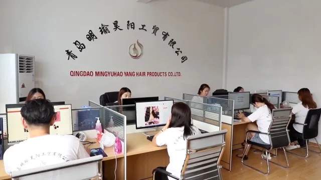 Qingdao Mingyuhao Yang Industry & Trade Co., Ltd. Human Hair Wig