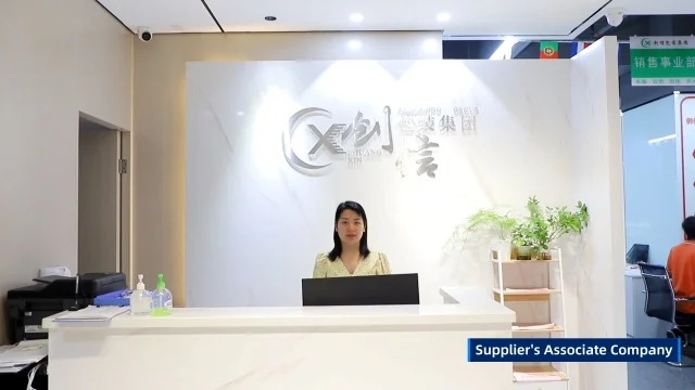 Guangdong Chuangxin New Material Technology Co., Ltd. Poly Mailer