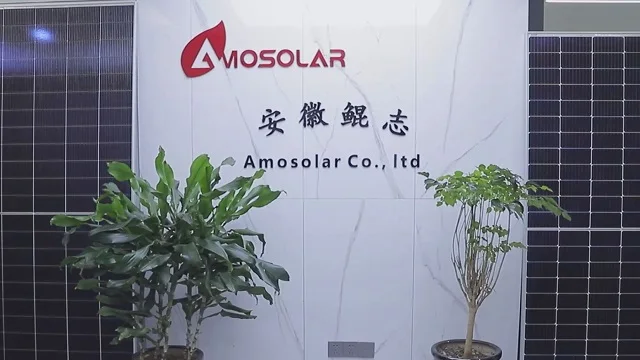 Amosolar Co., Ltd. Solar Panel
