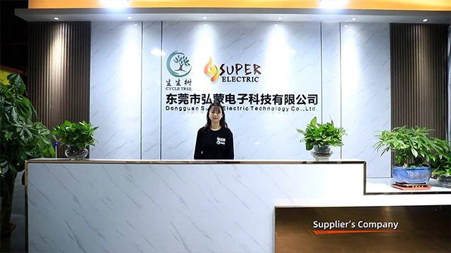 Dongguan Super Electric Technology Co., Ltd. Massage Gun