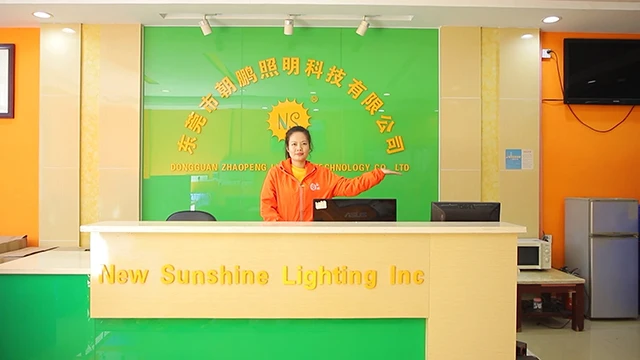 Dongguan Zhaopeng Lighting Technology Co., Ltd. LED Corn Light