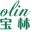 Jiangxi Baolin Natural Spice Co., Ltd. logo