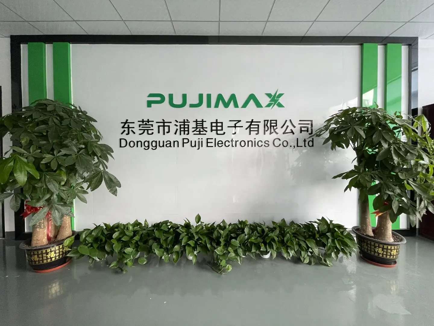 Dongguan Puji Electronics Co., Ltd. Li-ion Battery