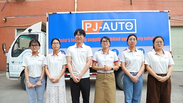 PJ-Auto Electronic Technology Limited AI BSD Camera Monitor Systems