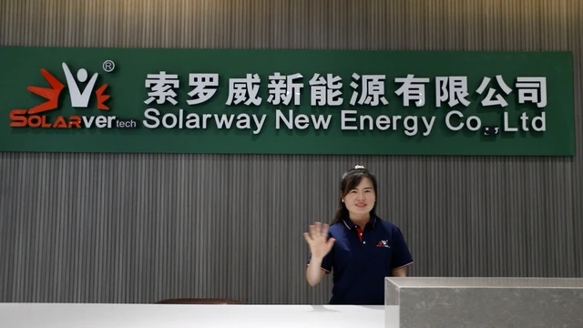 Jiaxing Solarway New Energy Co., Ltd. Pure Sine Wave Power Inverter