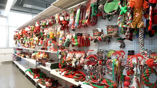 Shenzhen Jobon Global Industrial Co., Ltd. Pet Supplies