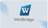 HongKong WinWin Industry Co. ,Ltd Wireless Microphone