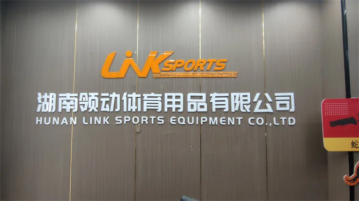 Hunan Link Sports Equipment Co., Ltd. Electric Bikes
