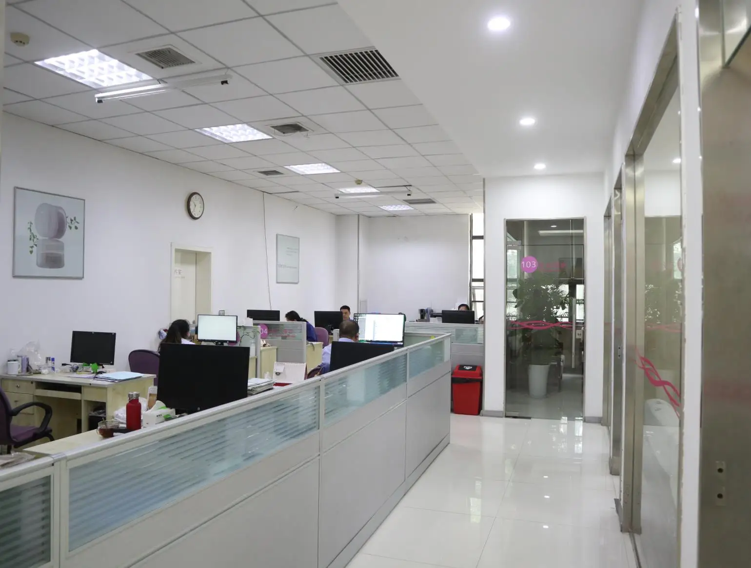 Xi'an Austar Slender Biotech Co., Ltd. Facial Cleanser