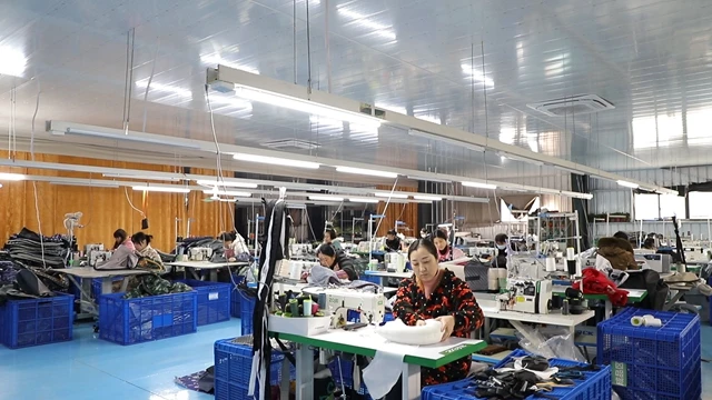 Anhui Chongwang Pet Products Technology Co., Ltd. Pet Bed