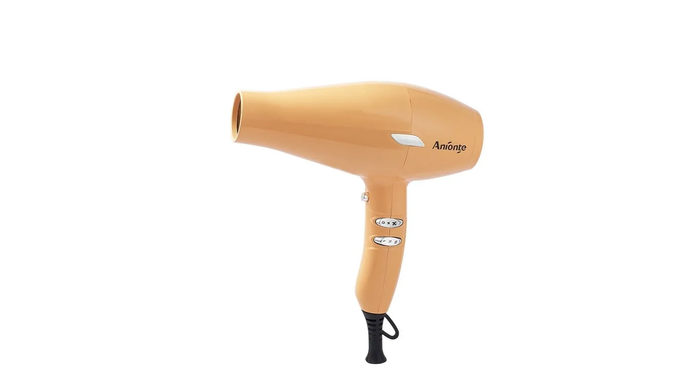 Anionte International (Zhejiang) Co., Ltd. Hair Dryer