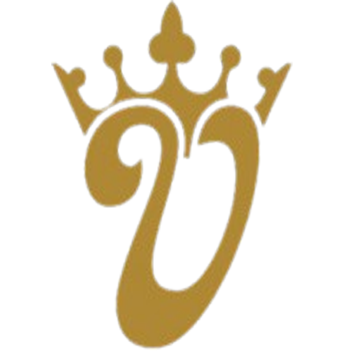 KingVelo logo