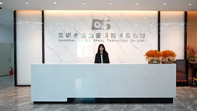Shenzhen Deqinsheng Technology Co., Ltd. Wall Charger