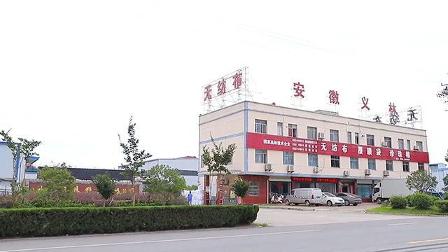 Anhui Yilin Plastic Industry Co., Ltd. Tote Bag