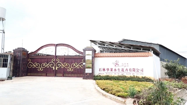 Shilin Hualai Preserved Flowers Ltd., Co. factory image 1