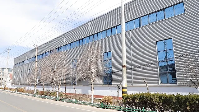 Shandong Rapid New Energy Technology Co., Ltd. Electric Bicycle