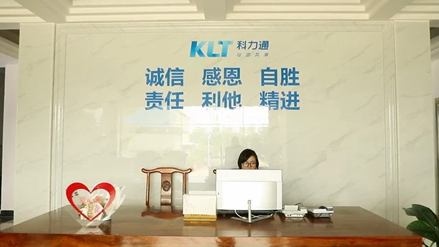 Zhuhai Kelitong Electronic Co., Ltd. Electric Coffee Grinder