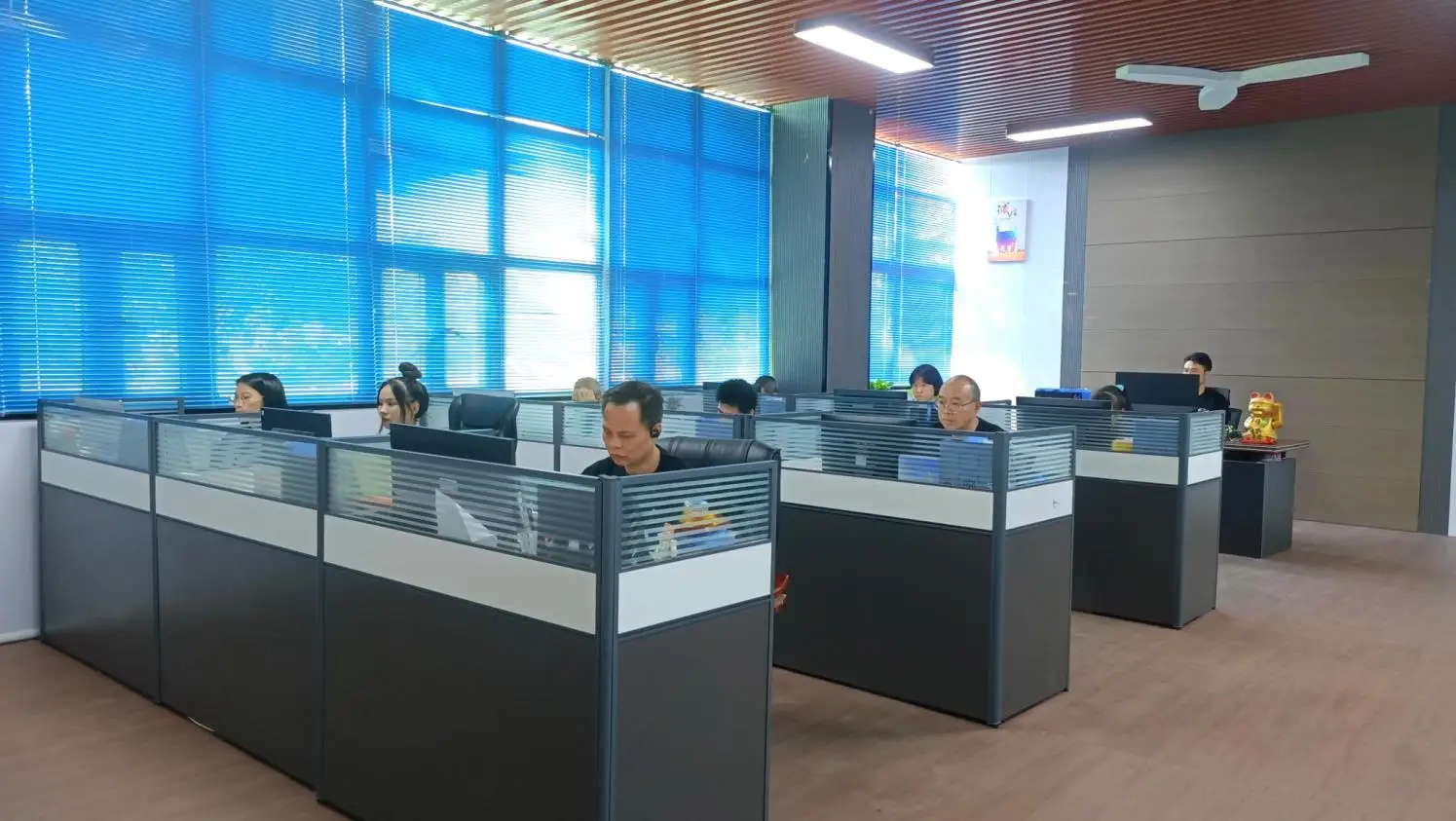 Shenzhen Dexin Cleaning Products Co., Ltd. Broom