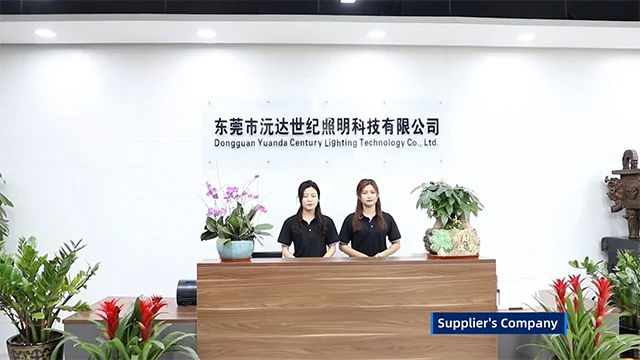Dongguan Yuanda Century Lighting Technology Co., Ltd. LED Strip Light