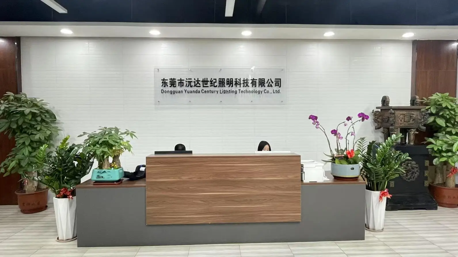 Dongguan Yuanda Century Lighting Technology Co., Ltd. Car Underglow Light