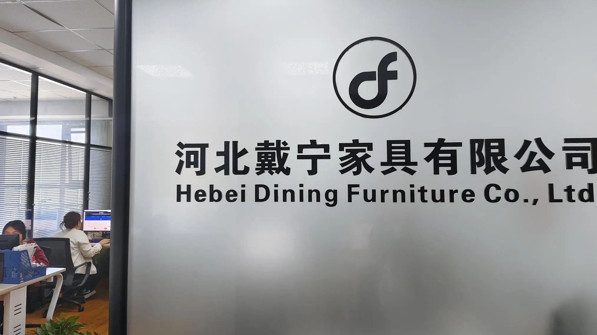 Hebei Dining Furniture Co., Ltd. Dining Chairs