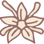 IDNBeans logo