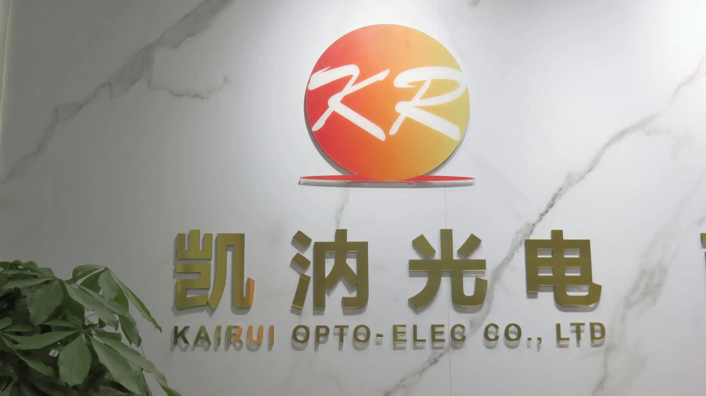 Shenzhen Kairui Opto-Elec Co., Ltd. Mobile Phone Case