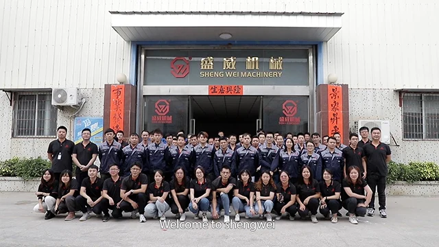 Guangdong Shengwei Machinery Technology Co., Ltd. Vertical Form Fill Seal (VFFS) Machines