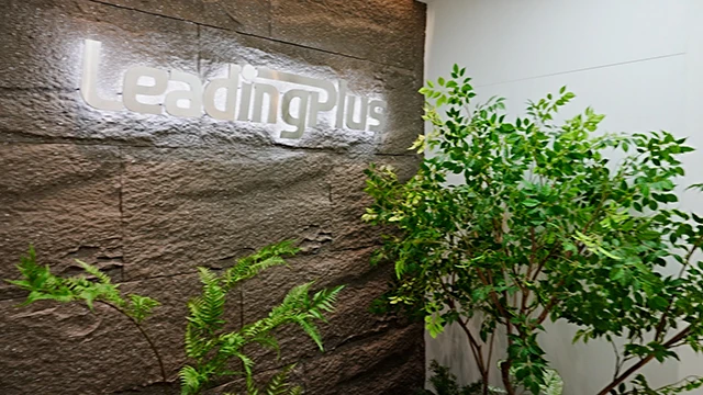 Shenzhen Leadingplus Electronic Co., Ltd. Charger