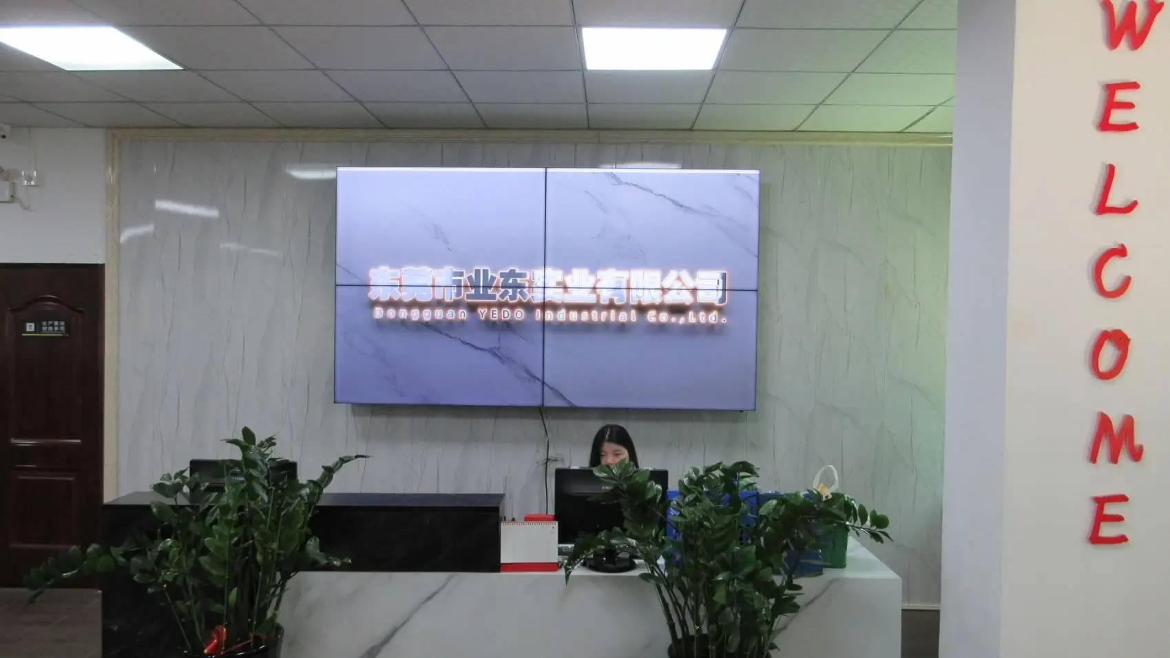 Dongguan Yedo Industrial Co., Ltd. Padel Rackets
